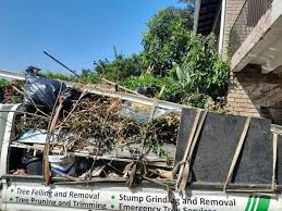 Best Appliance Removal  in Chapin, SC